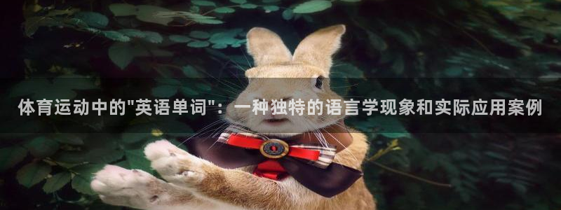 球速体育：体育运动中的\