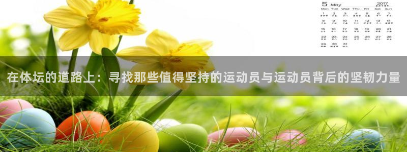 球速体育：在体坛的道路上：寻找那些值得坚持的运动员与运动员背后的坚韧力量