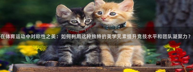 球速体育：在体育运动中对称性之美：如何利用这种独特的美学元素提升竞技水平和团队凝聚力？
