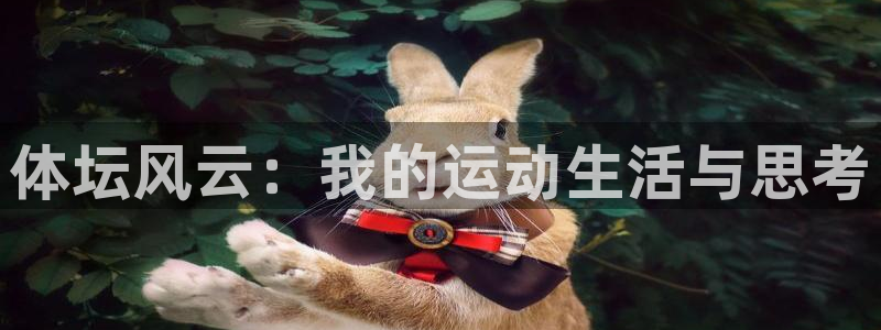 球速体育：体坛风云：我的运动生活与思考