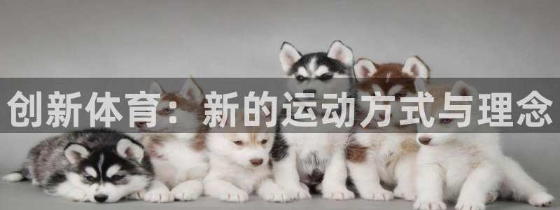球速体育：创新体育：新的运动方式与理念