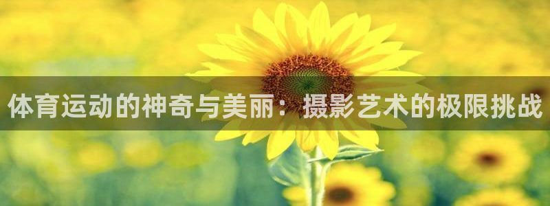 球速体育：体育运动的神奇与美丽：摄影艺术的极限挑战