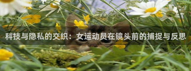 球速体育：科技与隐私的交织：女运动员在镜头前的捕捉与反思